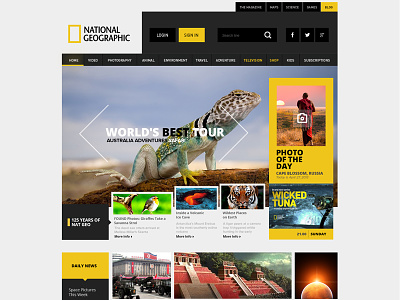 National Geographic Web Site Concept national ui ux web