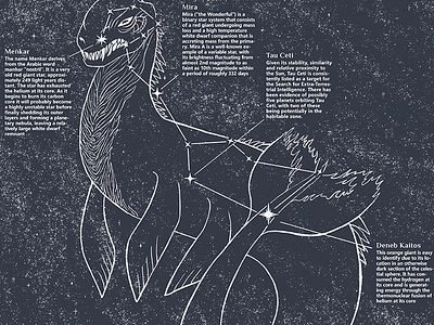 Constellation prints: CETUS constellation poster sea monster silkscreen