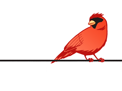 Red Cardinal