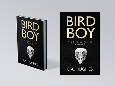'Bird Boy' Cover Mockup books cover cover design design print typography
