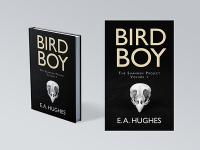 'Bird Boy' Cover Mockup