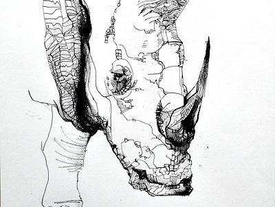 Rhino illustration