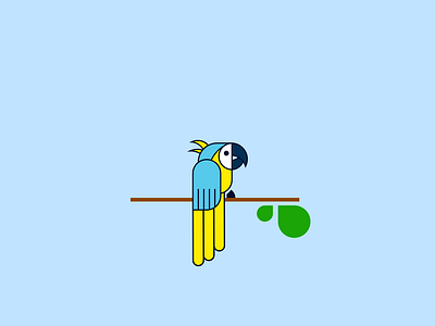 Macaw