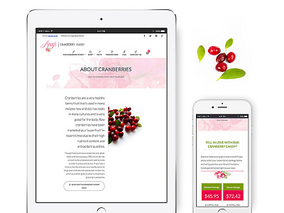 Amy's Cranberry Candy Web & Mobile Responsive Design candy mobile web design