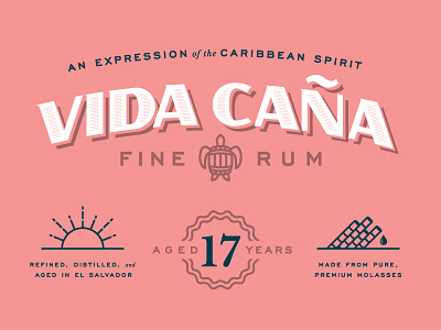 Vida Caña branding caribbean spirit rum spirits turtle typography
