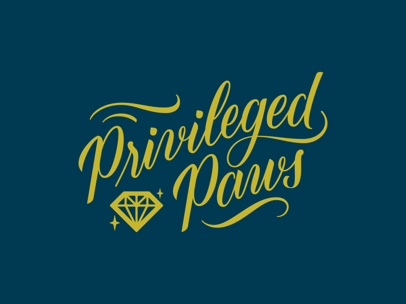 16/31: Privileged Paws Process blue diamond dog walking dogs lettering script swashes type