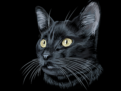 Cat face mobile illustration
