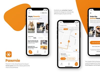 Pet app - Designflows 2020