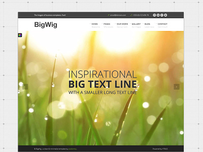 Bigwig Business Website Homepage business captions corporate fullscreen responsive slider template ui video website. web design