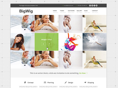 Bigwig Business Website Projects Homepage