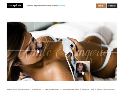Mopho - Animated Jpeg Video Preview jQuery Plugin