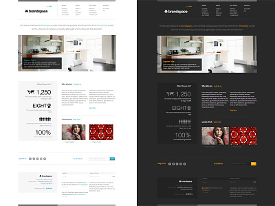 Brandspace Responsive WordPress Theme dark homepage info-graphics light minimal responsive skin theme website wed design wordpress