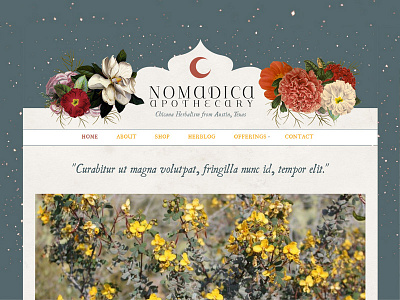 Nomadica Website. blue moon red web