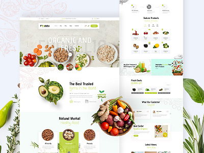 Organic Food Ecommerce