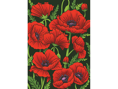 Nature Prints - Poppies art digital art digital drawing digital illustration drawing illustration