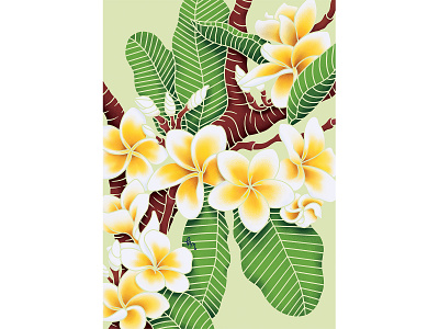 Nature Prints - Kalachuchi (Plumeria) art digital art digital drawing digital illustration drawing illustration