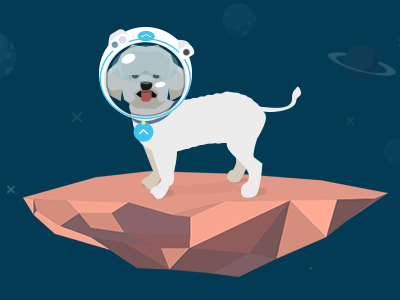 Stevie the space dog astronaut dog flat illustration rock space