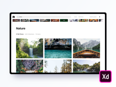 Unsplash (Adobe XD Freebie)