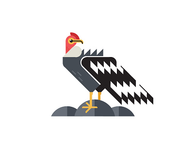 Andy the Andean Condor bird cartoon condor design geometric illustration illustrator underbelly vector