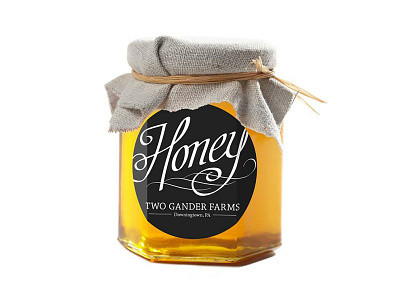 Brand Identity Concept for Two Gander Honey brand identity