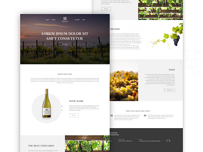 Wine Company website company design factory ui ui ux ux vinayerd website wine wine website