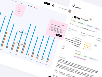 Dashboard UI 👌 Careers and Barriers (standard flow) web app. mobile