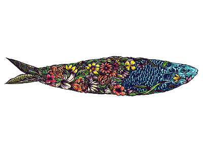 Sardine digital illustration editorial illustration sardine