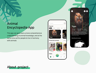 animal encyclopedia app design 1 animal encyclopedia app design ui