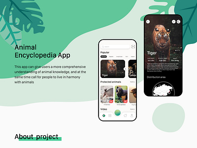 animal encyclopedia app design 1
