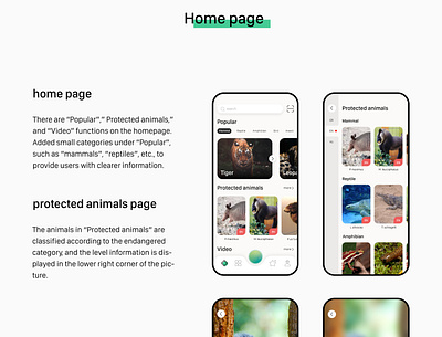 animal encyclopedia app design 3 animal encyclopedia app design ui