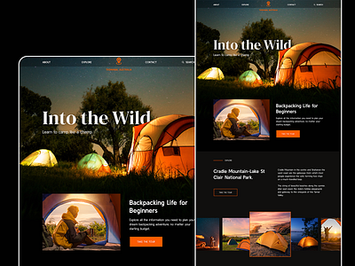 Into the wild camping landing page