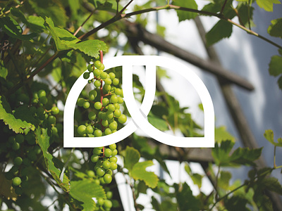 Mr.Leaf - Logo Design adobe branding logo design minimalist logo
