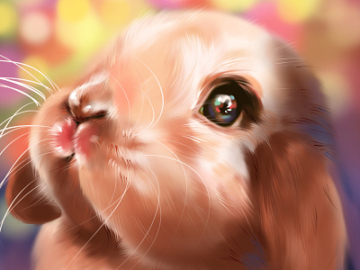 Rabbit's fireworks animal illustration