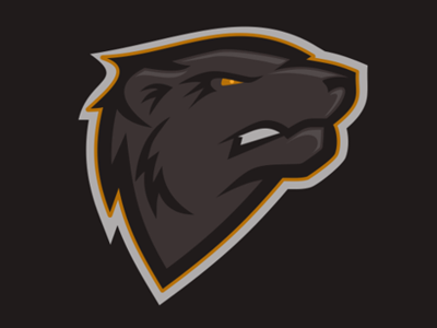Bamberg Bears bears design football gridiron logo mascot