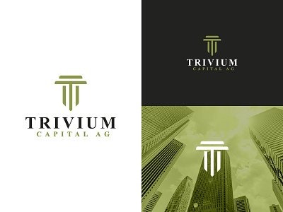 trivium branding capital financial financial services finanza investment sofisticado