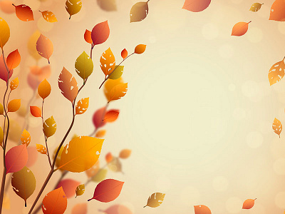Autumn background background illustration vector