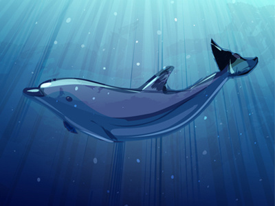 Dolphin Underwater illustration vector