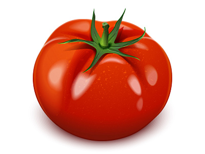 Tomato vector icon. farm icons objects tomato vector web elements