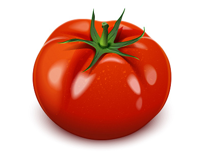 Tomato vector icon.