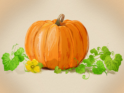 Pumpkin Vector Ilustration