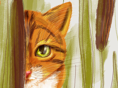 Cat animal cat illustration