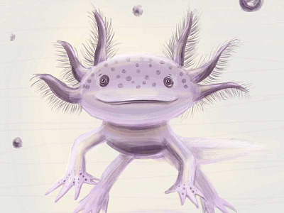 Axolotl animal illustration