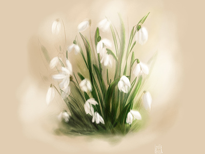 Snowdrop flora illustration