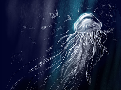 Jellyfish Silver Feather children illusration illustration magic story
