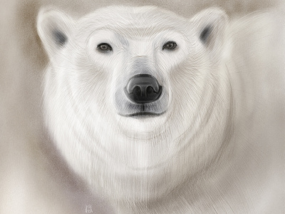 Polar Bear illustration wwf wwfrussia