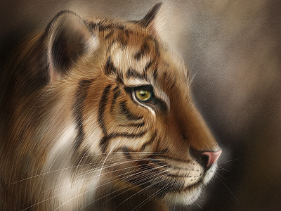 Amur Tiger illustration wwf wwfrussia