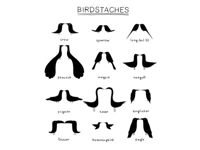 Birdstache bird chart mustache print t shirt