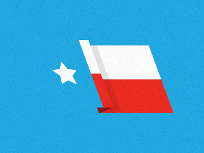 Texas Flag flag lone star texas