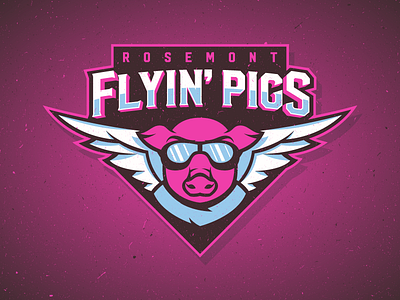 Flyin' Pigs baseball pigs