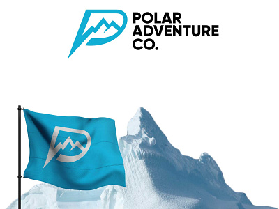 Polar Adventure logo design branding logo